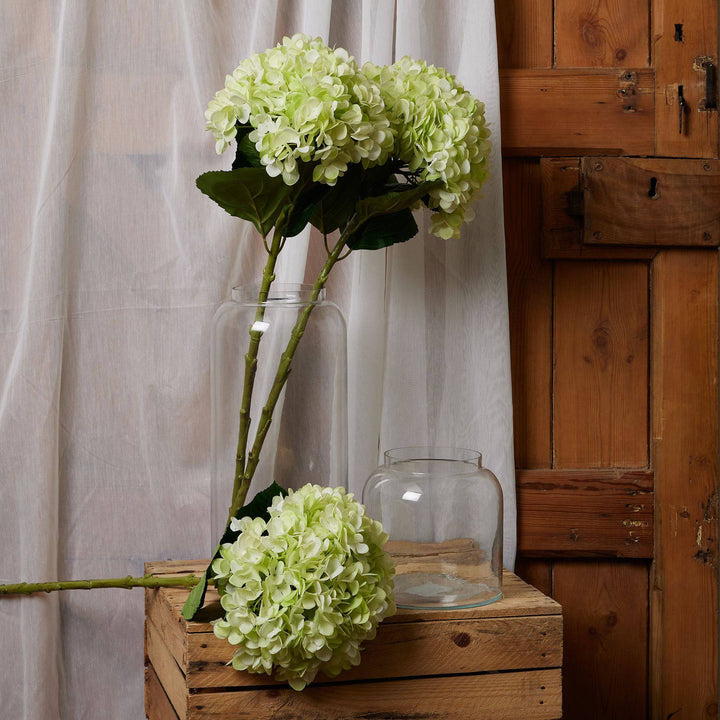 Oversized Green Hydrangea - TidySpaces