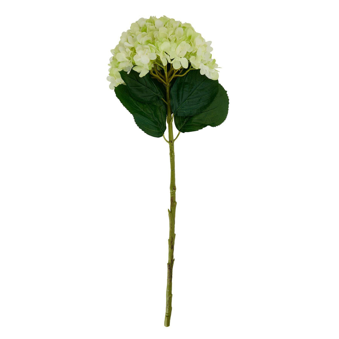 Oversized Green Hydrangea - TidySpaces