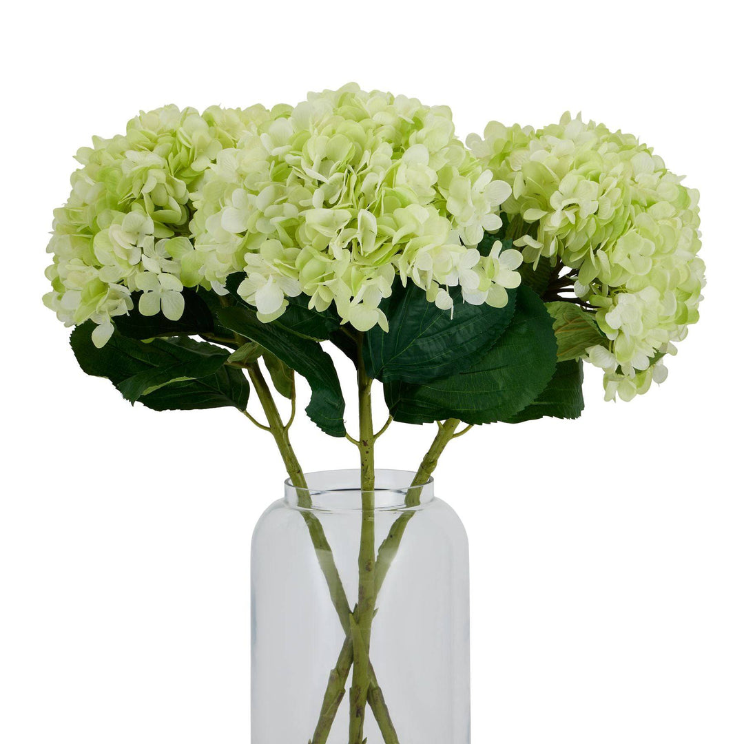 Oversized Green Hydrangea - TidySpaces