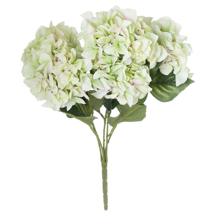 Shabby Green Hydrangea Bouquet - TidySpaces