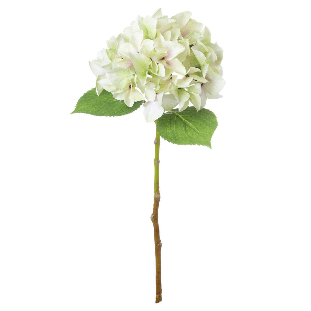 Shabby Green Single Hydrangea - TidySpaces