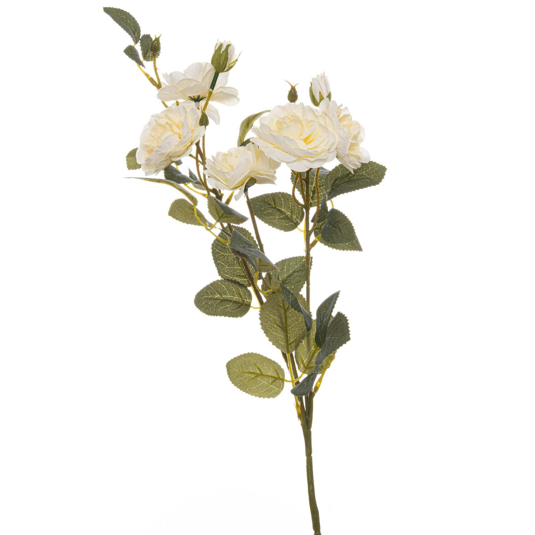 Soft White Cottage Rose Stem - TidySpaces