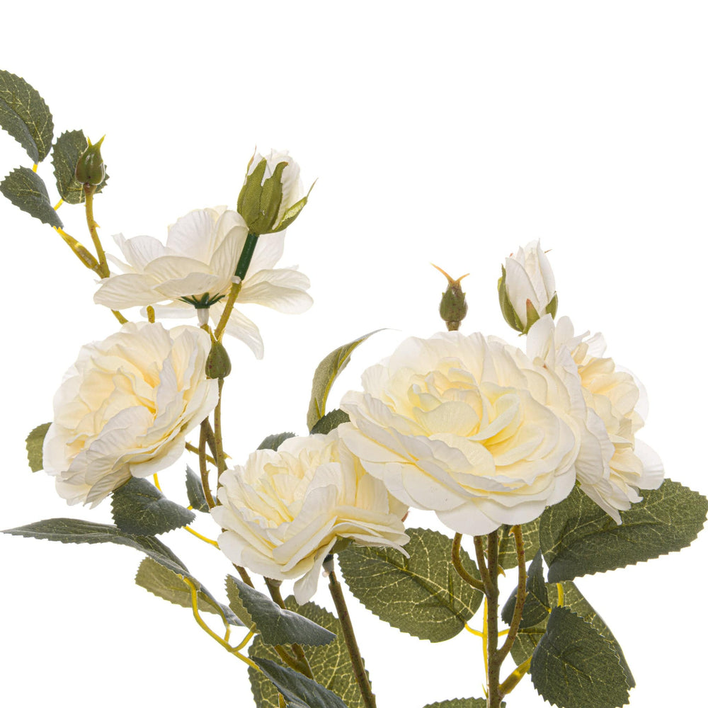 Soft White Cottage Rose Stem - TidySpaces