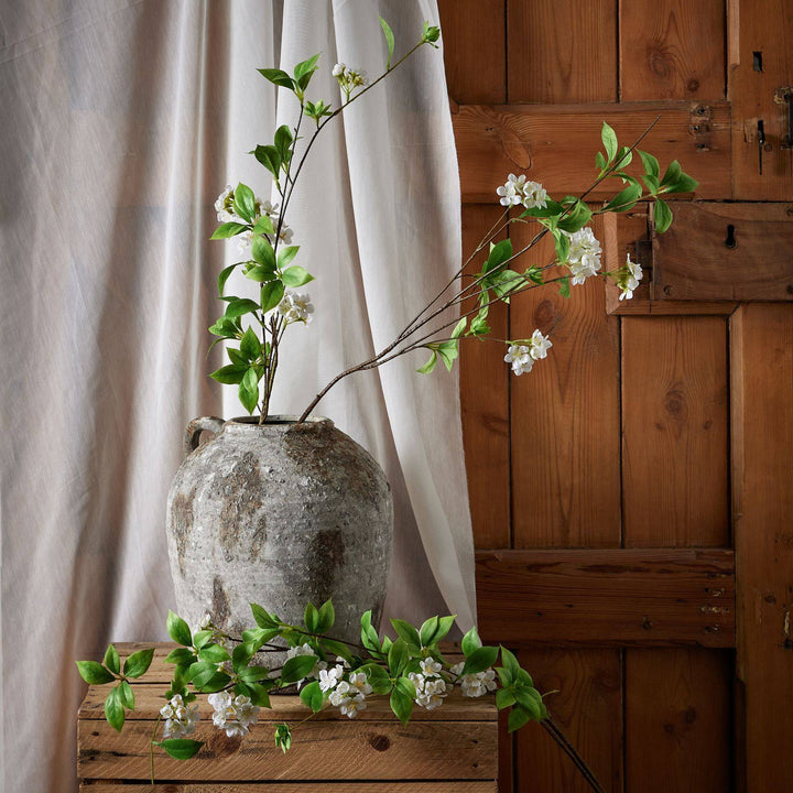 Tall Mock Orange Spray - TidySpaces