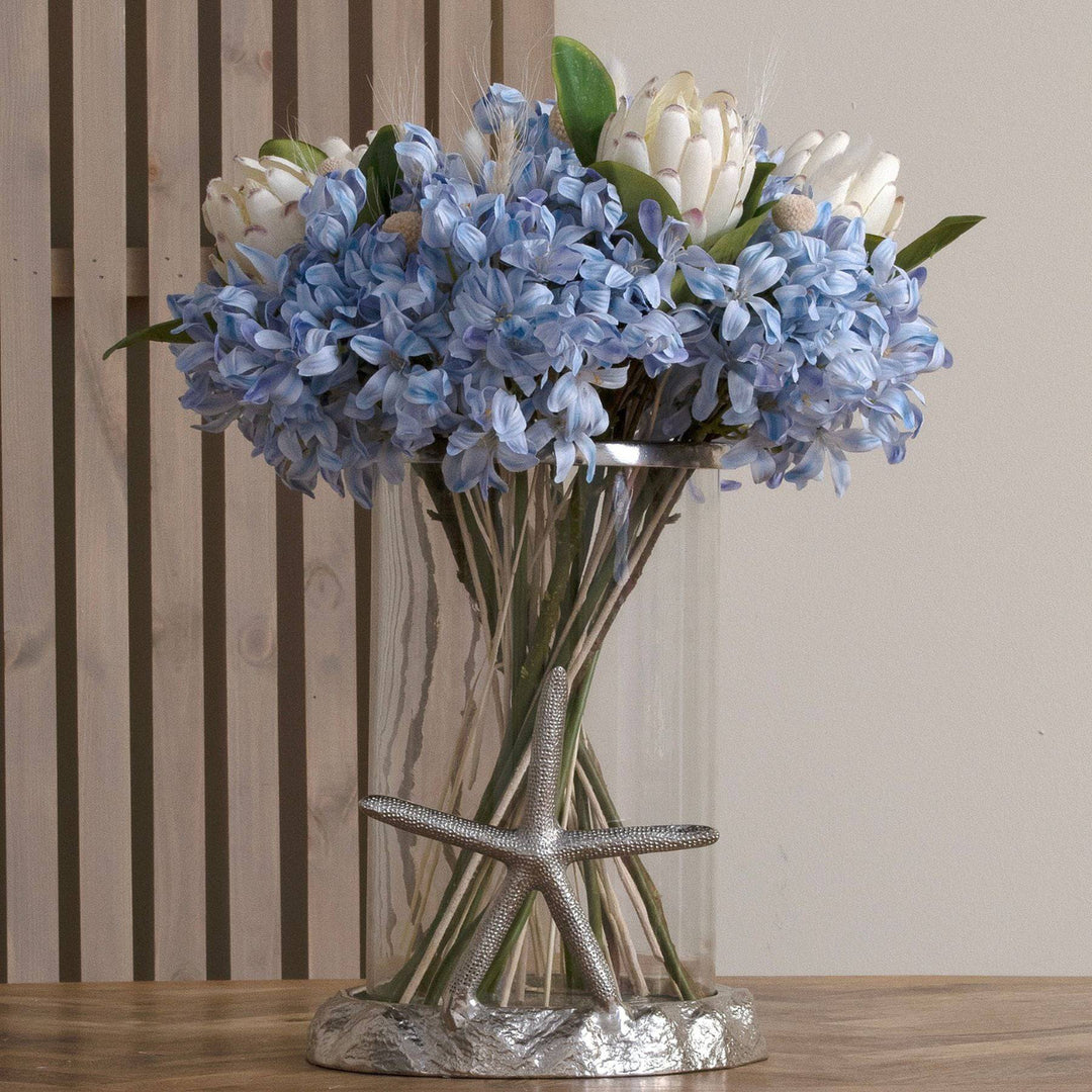 Light Blue Large Headed Agapanthus - TidySpaces