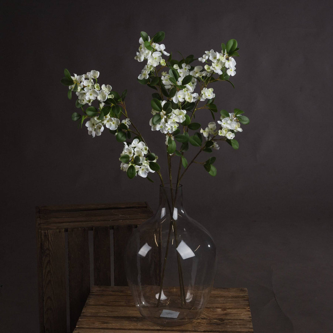 White Spring Mock Orange Flower - TidySpaces