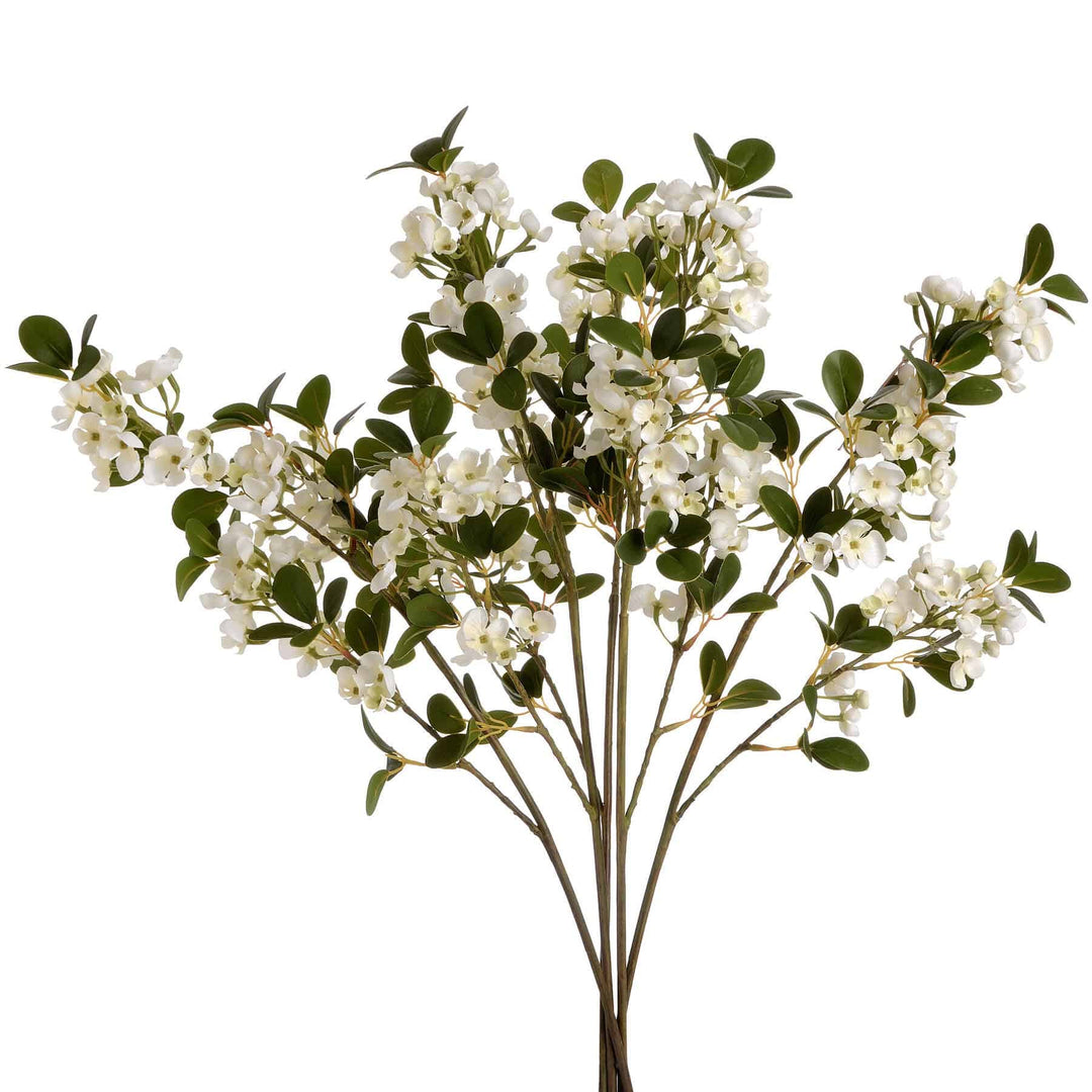 White Spring Mock Orange Flower - TidySpaces