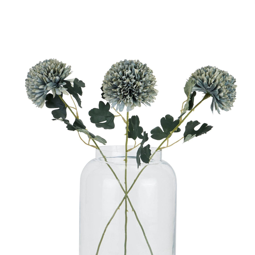 Pale Green Blue Chrysanthemum - TidySpaces