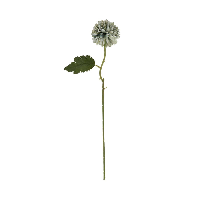 Pale Green Blue Short Chrysanthemum - TidySpaces