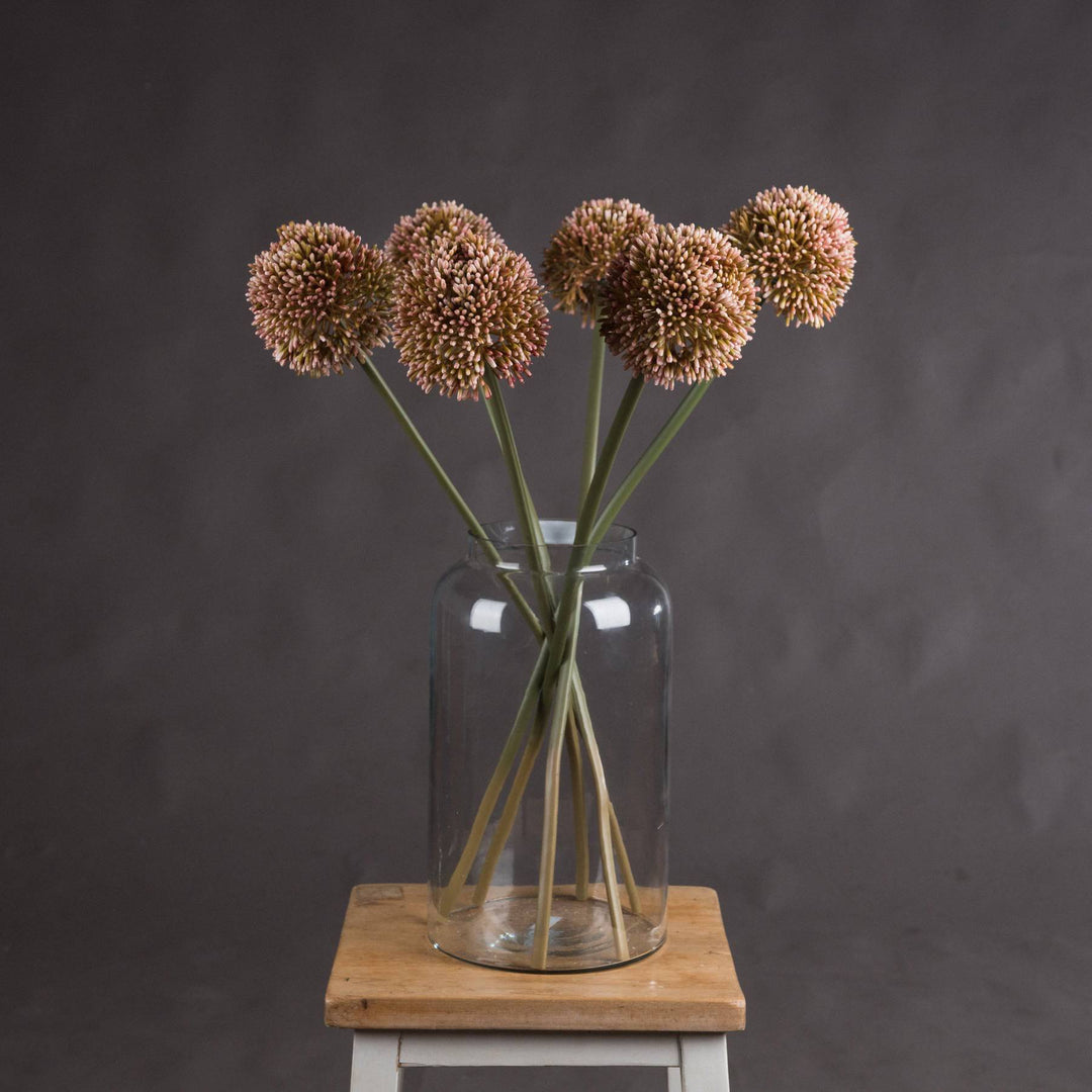 Pink Allium - TidySpaces