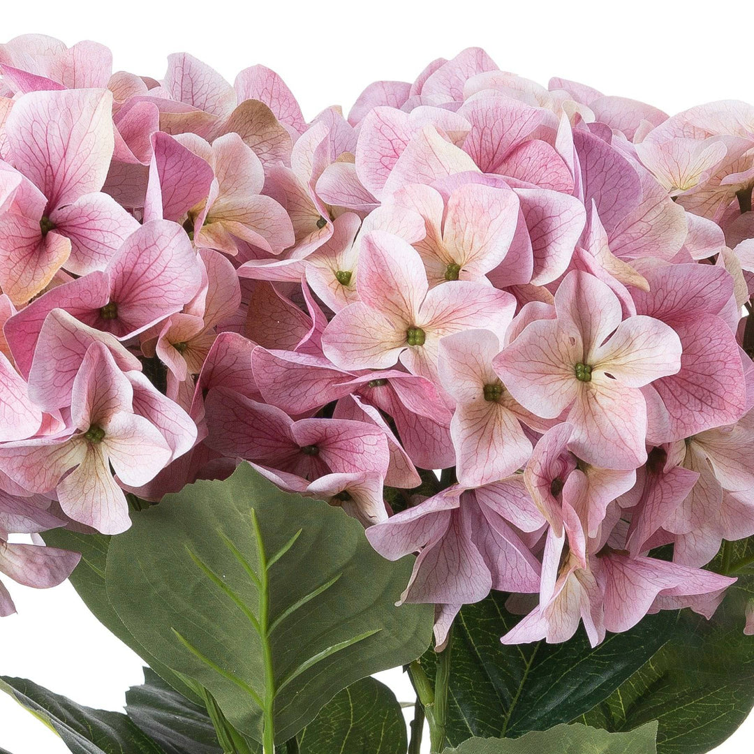 Shabby Pink Hydrangea Bouquet - TidySpaces