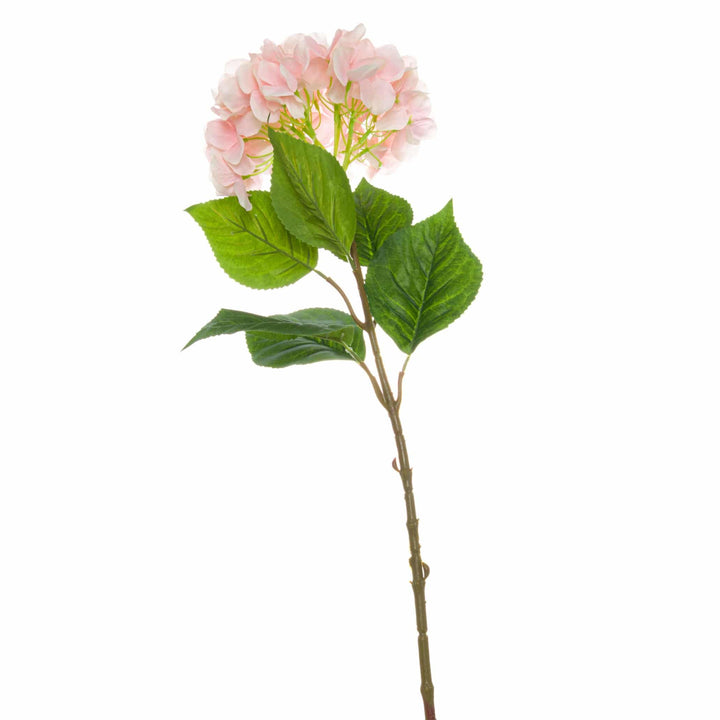 Single Pink Hydrangea - TidySpaces