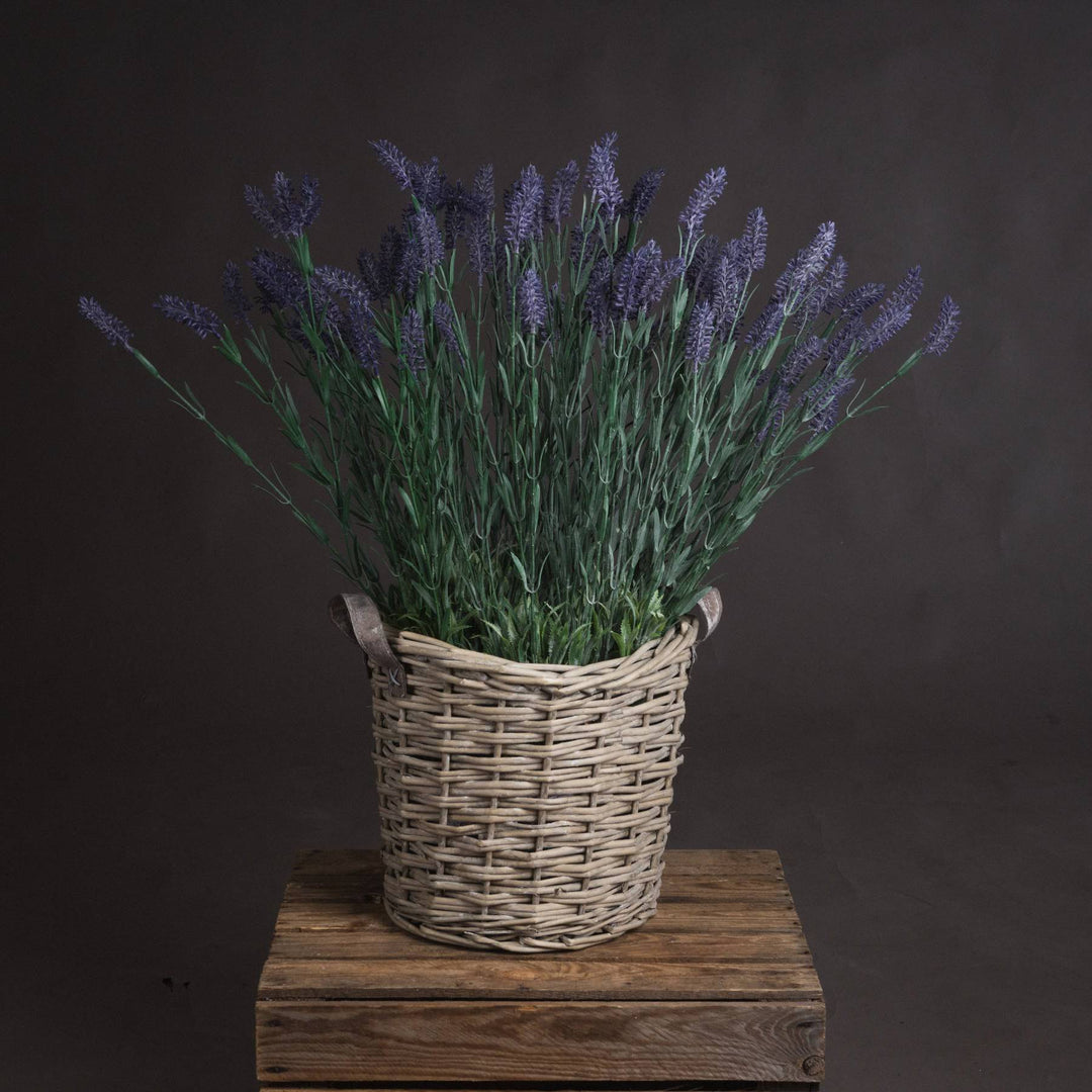 Large Lavender Spray - TidySpaces