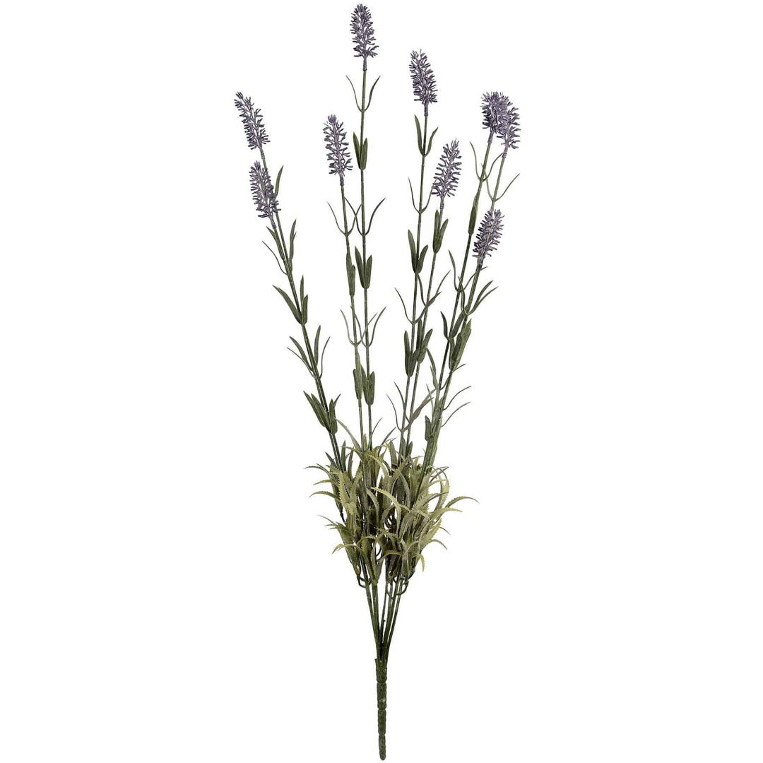 Large Lavender Spray - TidySpaces