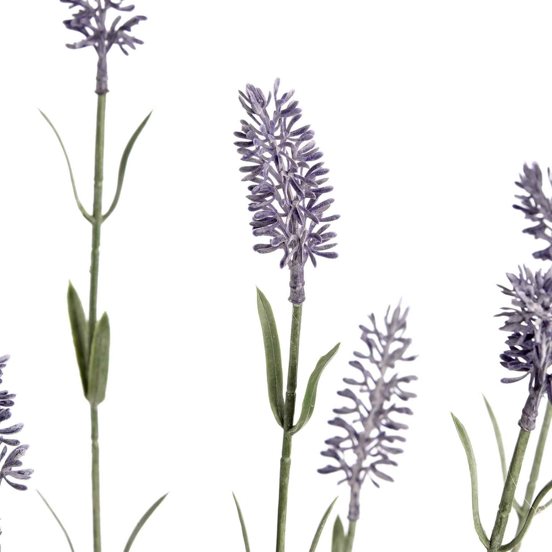 Large Lavender Spray - TidySpaces