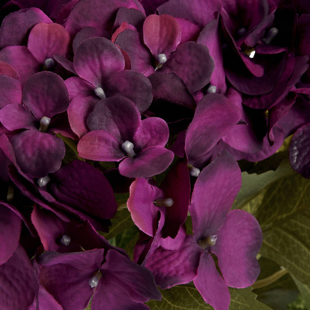 Purple Hydrangea Bouquet - TidySpaces