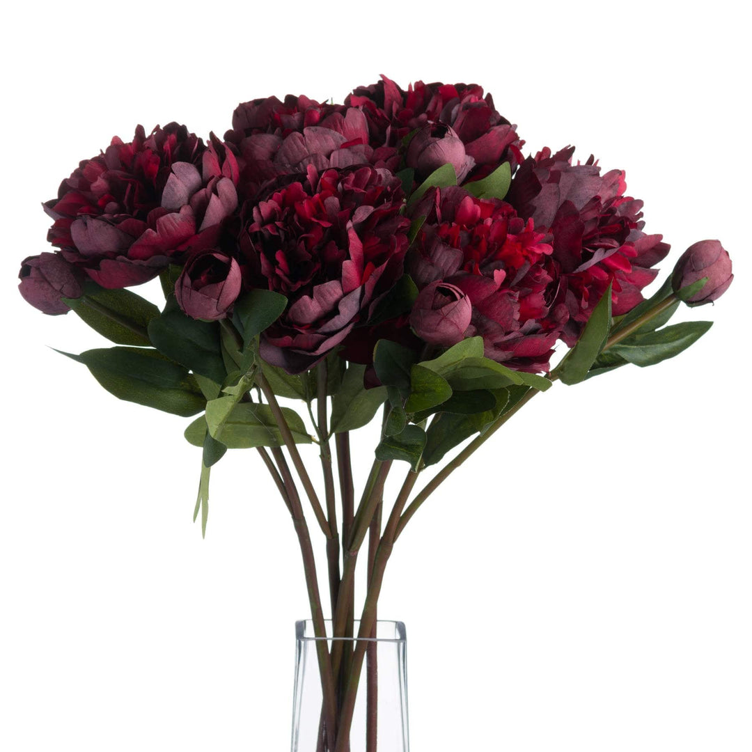 Burgundy Peony Rose - TidySpaces