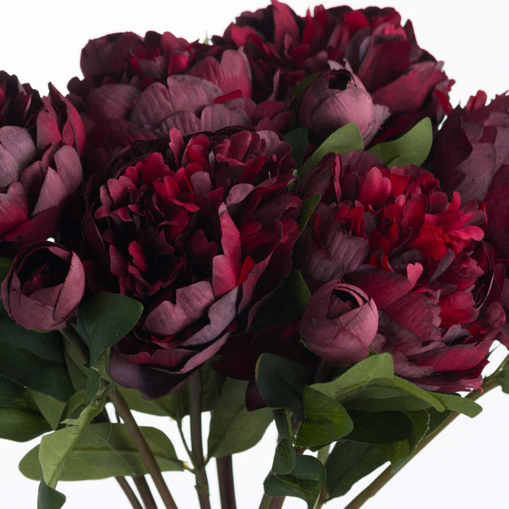 Burgundy Peony Rose - TidySpaces