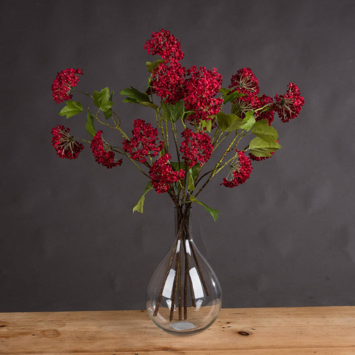 Red Autumnal Viburnum - TidySpaces