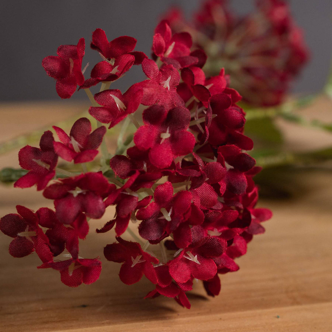 Red Autumnal Viburnum - TidySpaces