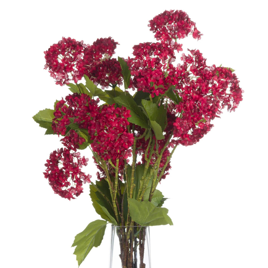 Red Autumnal Viburnum - TidySpaces