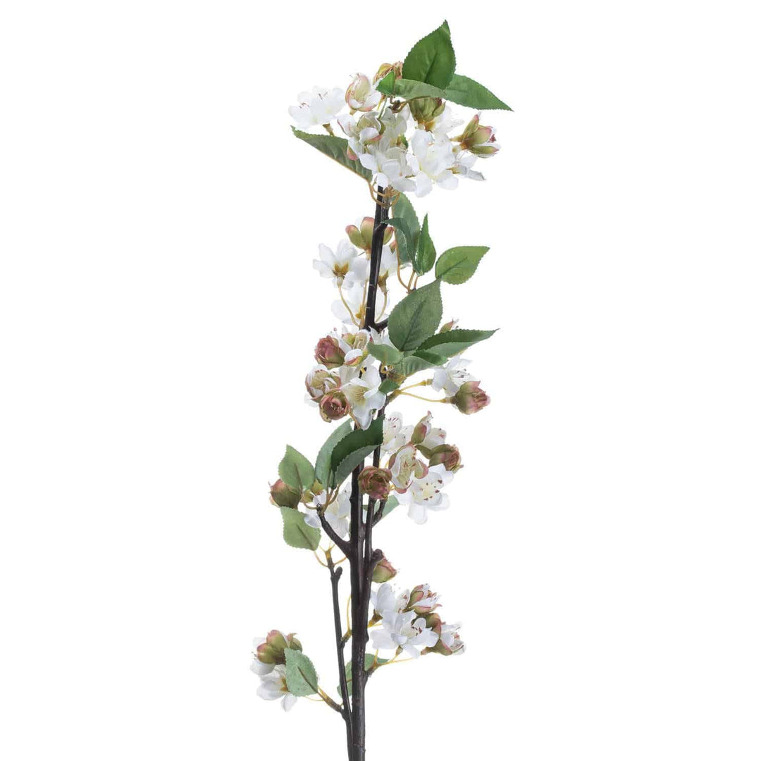 English Blossom Branch - TidySpaces