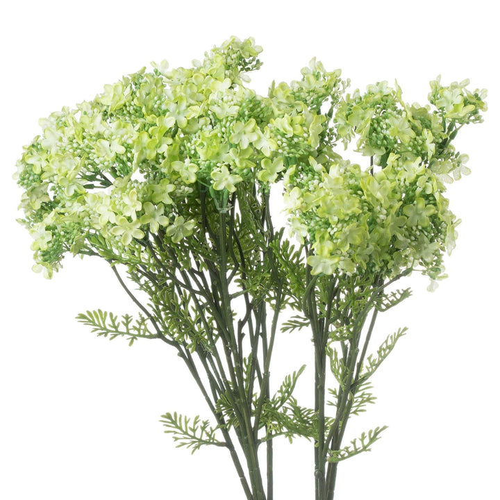 Green Plumb Blossom Spray - TidySpaces