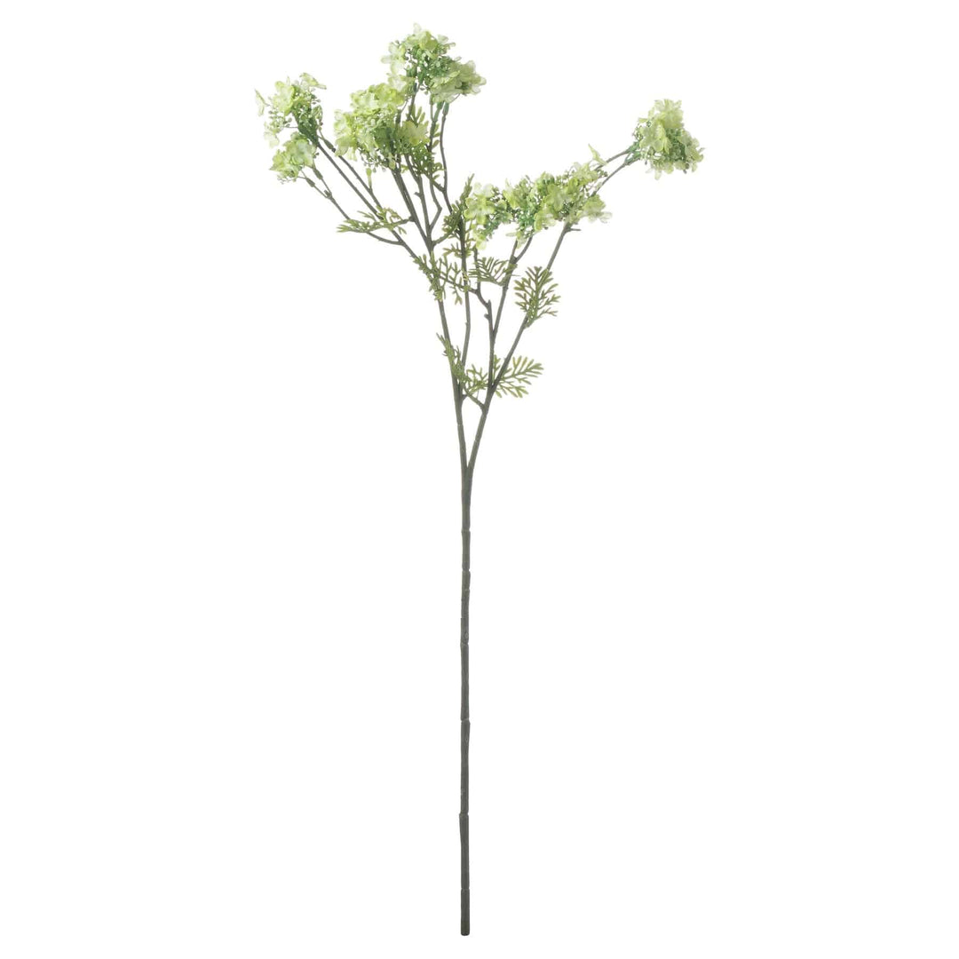 Green Plumb Blossom Spray - TidySpaces