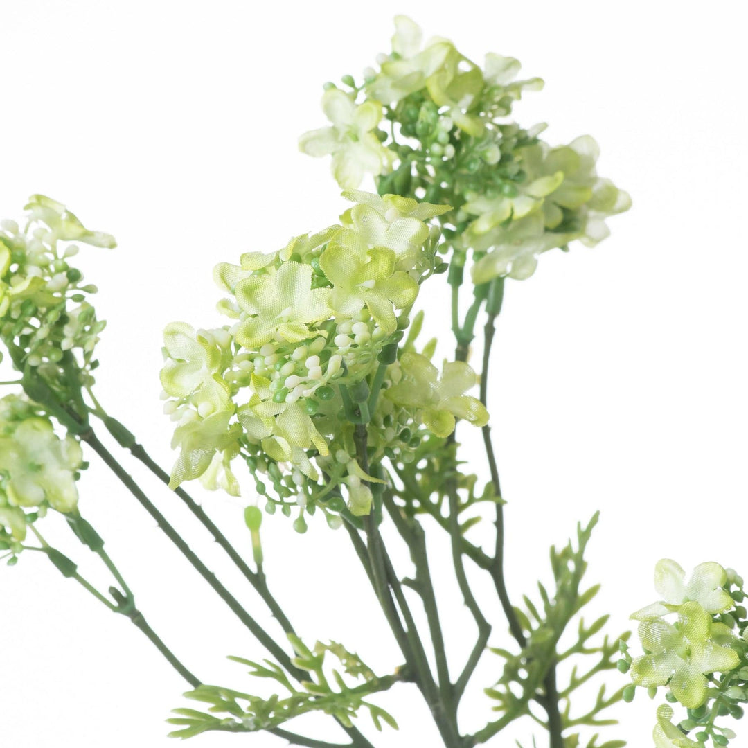 Green Plumb Blossom Spray - TidySpaces