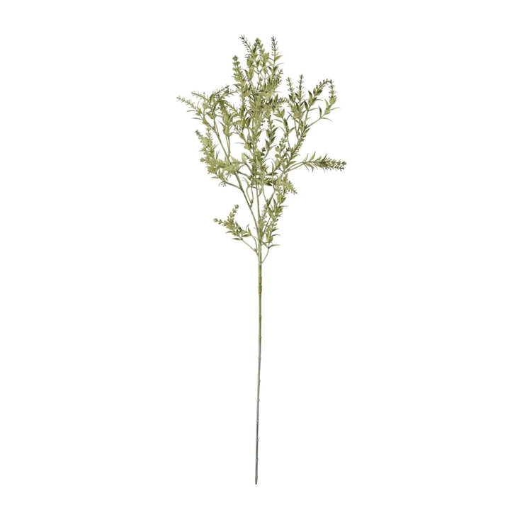 Broom Stem - TidySpaces