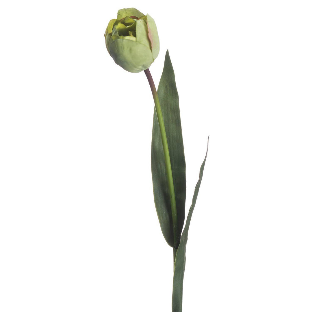 Green Tulip - TidySpaces