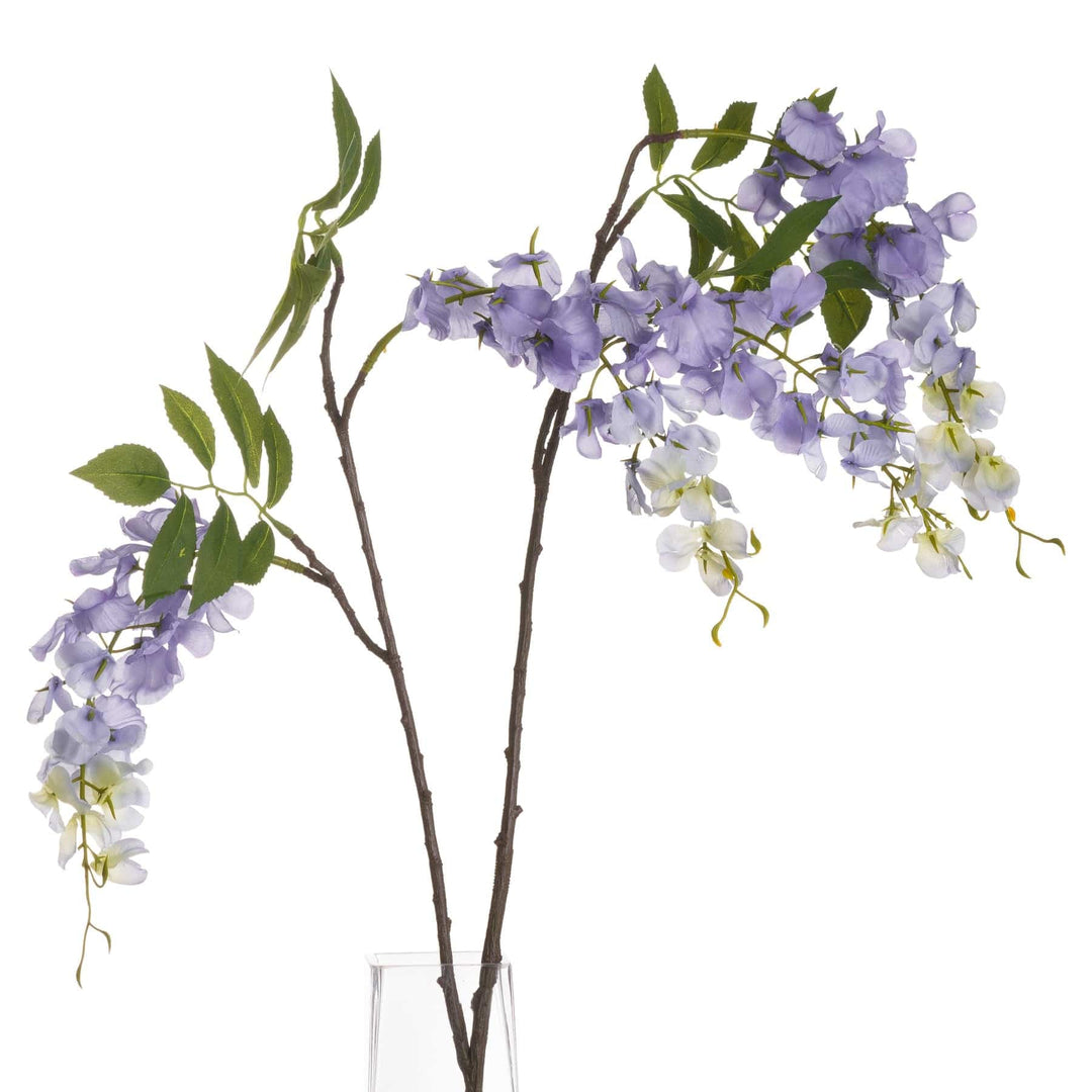 Lilac Wisteria - TidySpaces