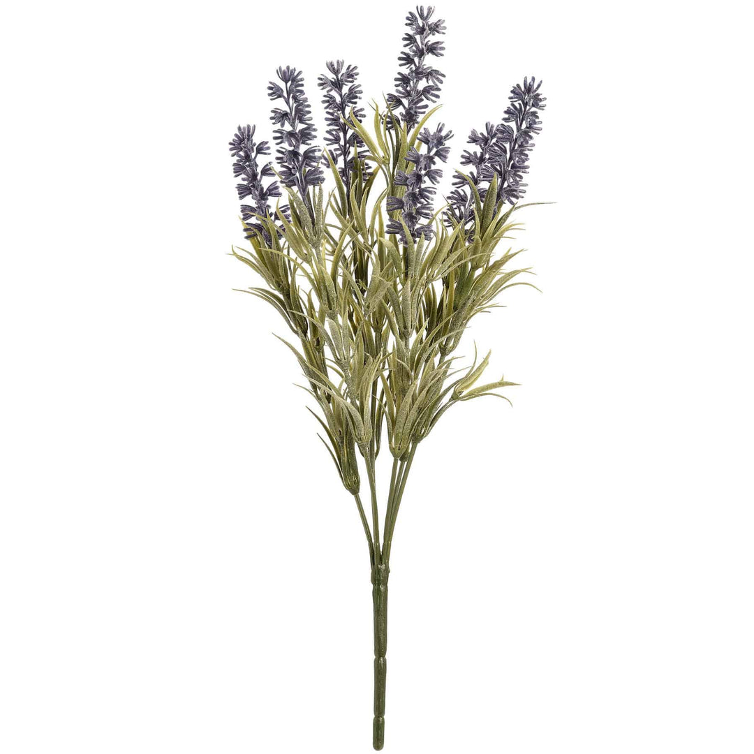 Small Lavender Spray - TidySpaces