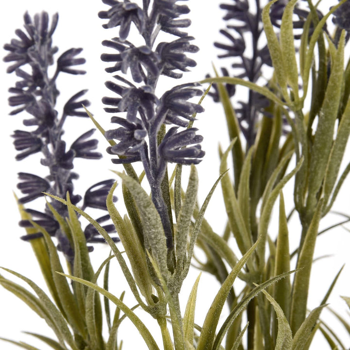 Small Lavender Spray - TidySpaces