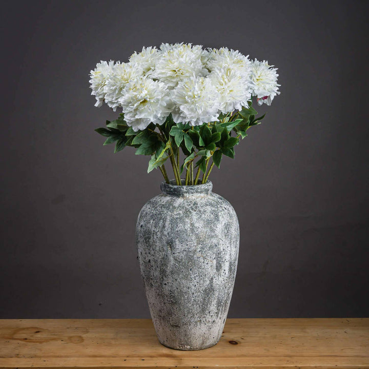 Classic White Peony - TidySpaces