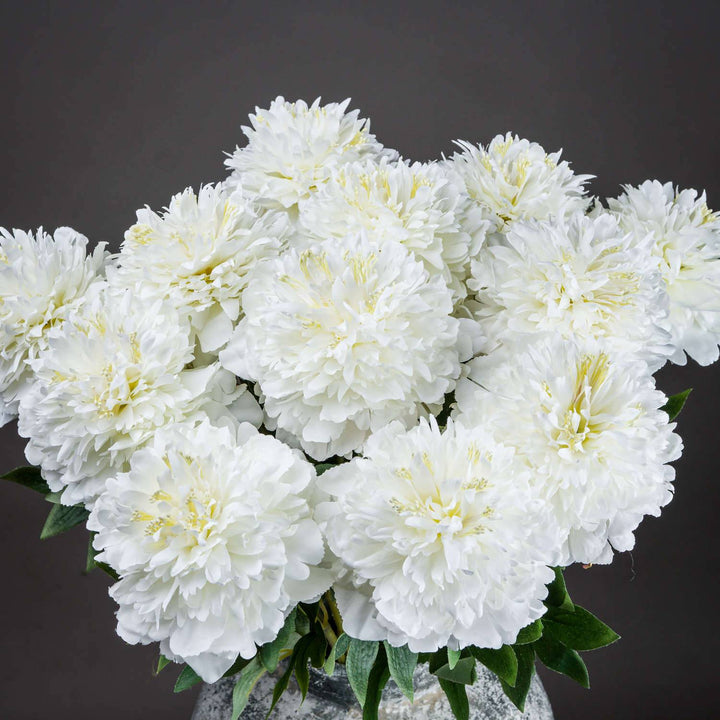 Classic White Peony - TidySpaces