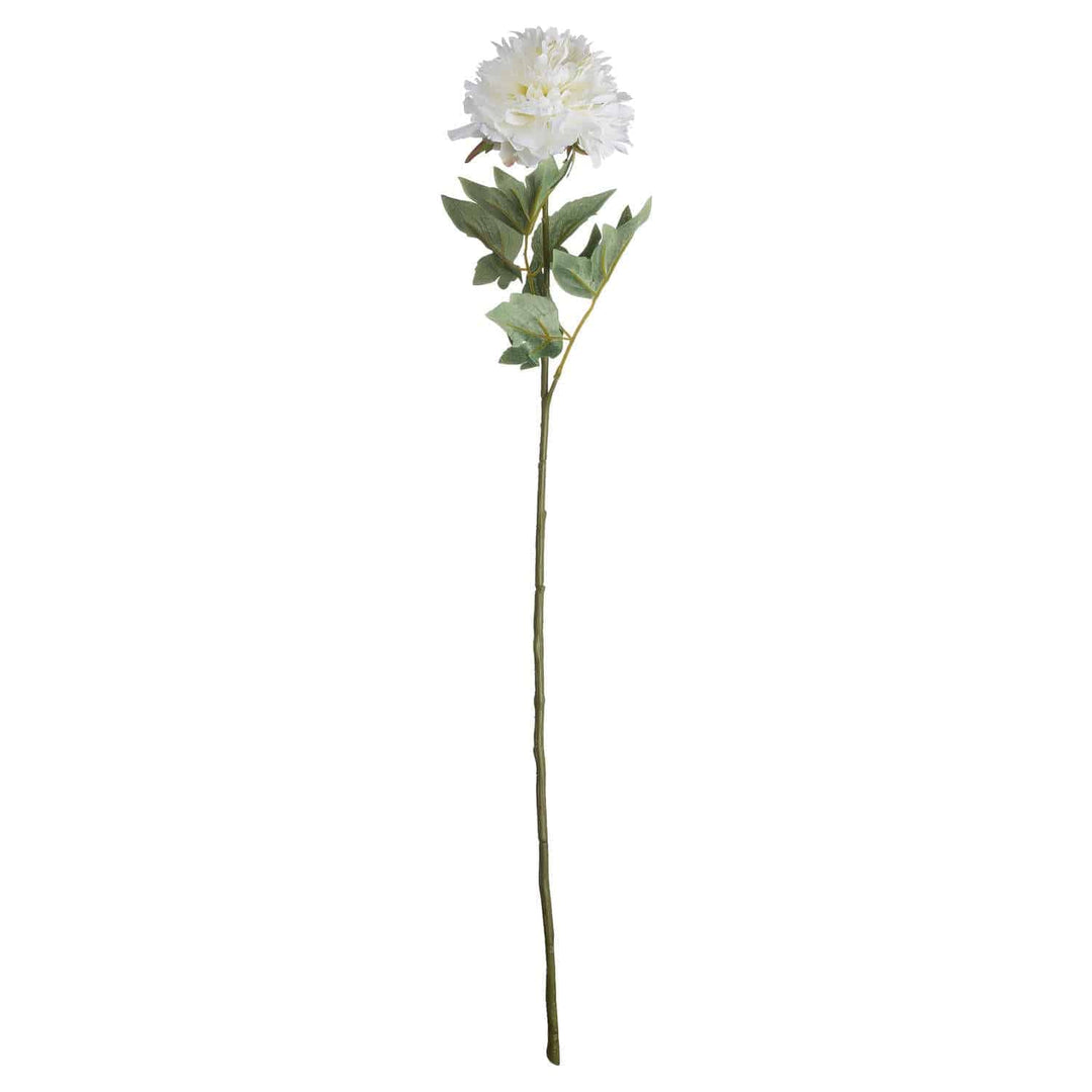 Classic White Peony - TidySpaces