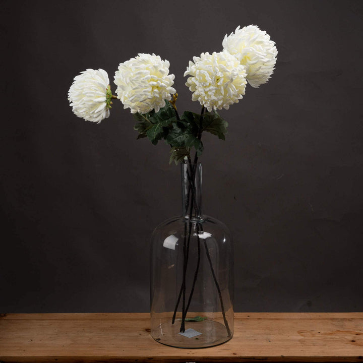 Large White Chrysanthemum - TidySpaces