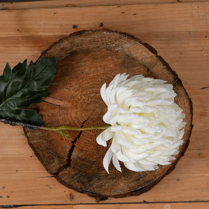 Large White Chrysanthemum - TidySpaces