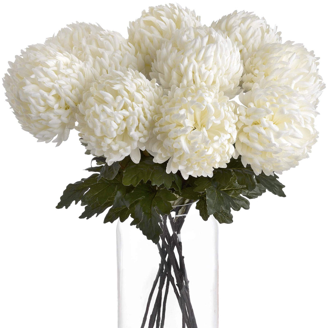 Large White Chrysanthemum - TidySpaces