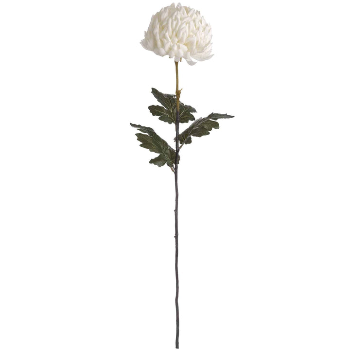 Large White Chrysanthemum - TidySpaces