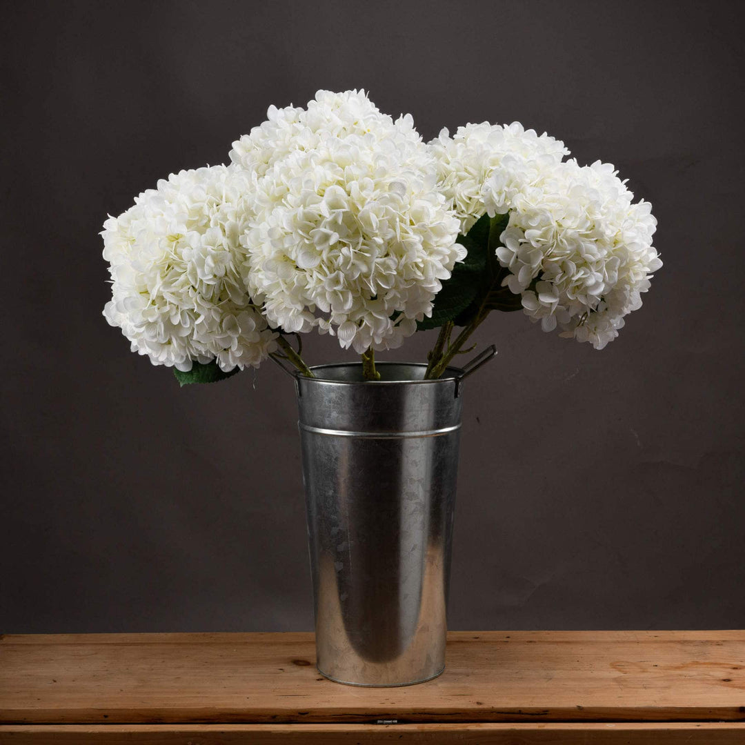 Oversized White Hydrangea - TidySpaces