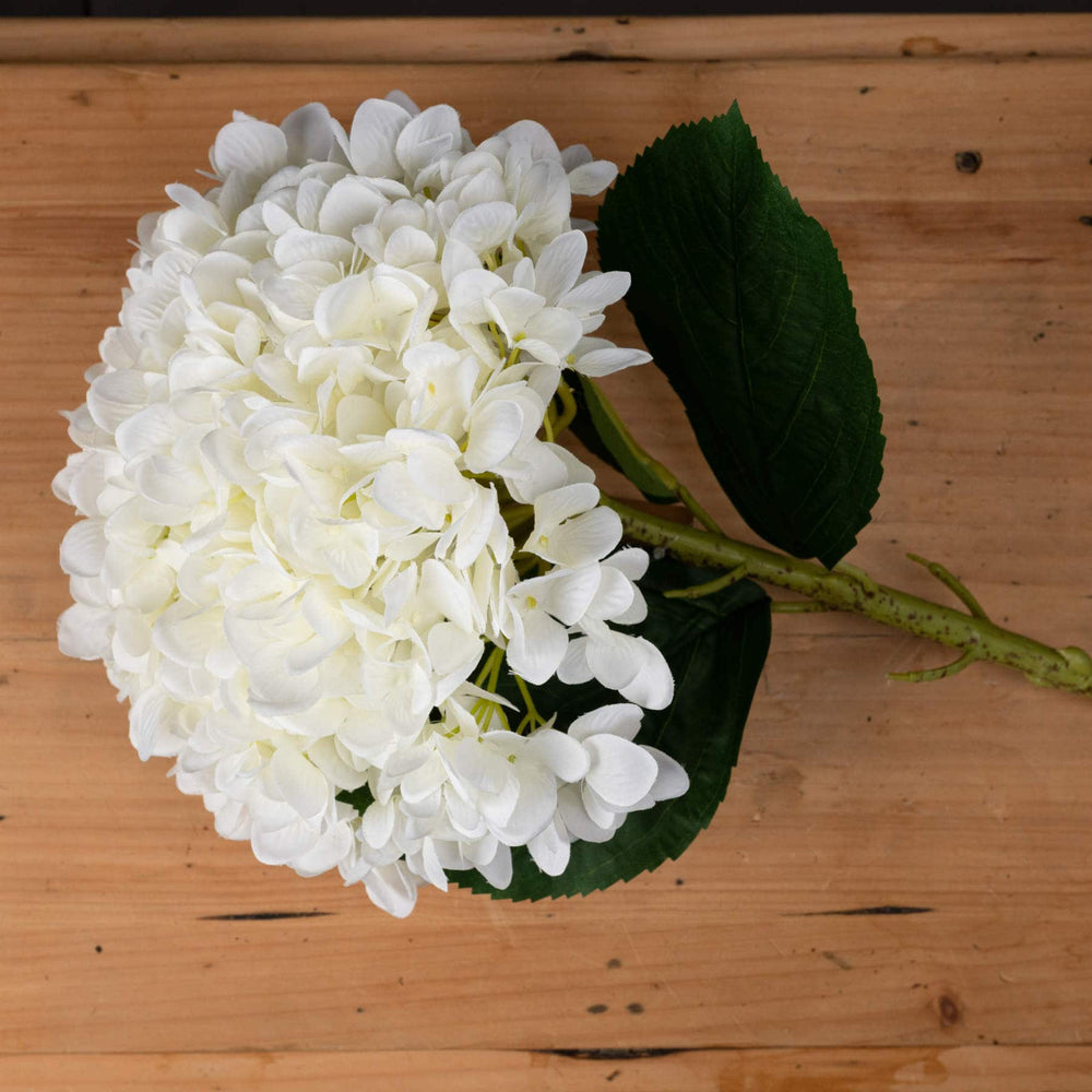 Oversized White Hydrangea - TidySpaces