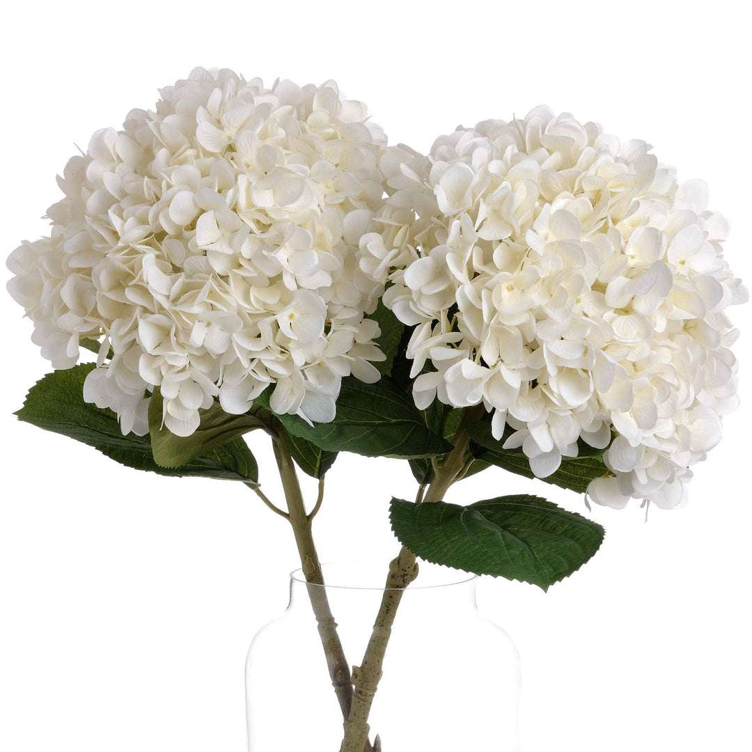 Oversized White Hydrangea - TidySpaces