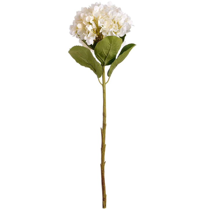 Oversized White Hydrangea - TidySpaces