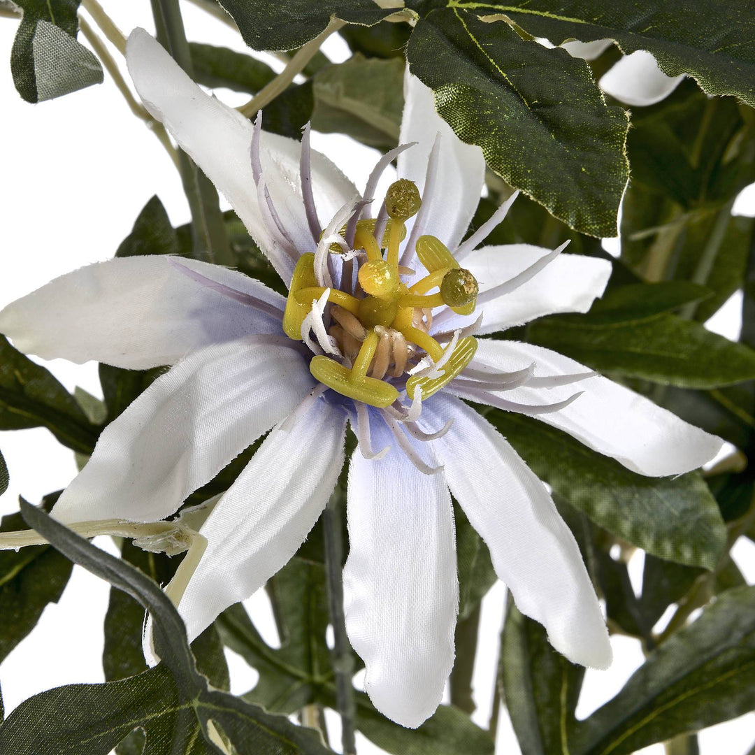 Passion Flower Spray - TidySpaces