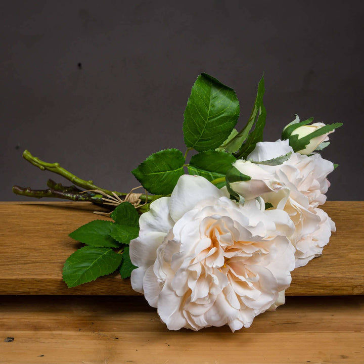 Peachy Cream Short Stem Rose Bouquet - TidySpaces