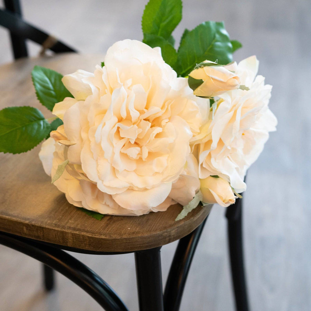 Peachy Cream Short Stem Rose Bouquet - TidySpaces