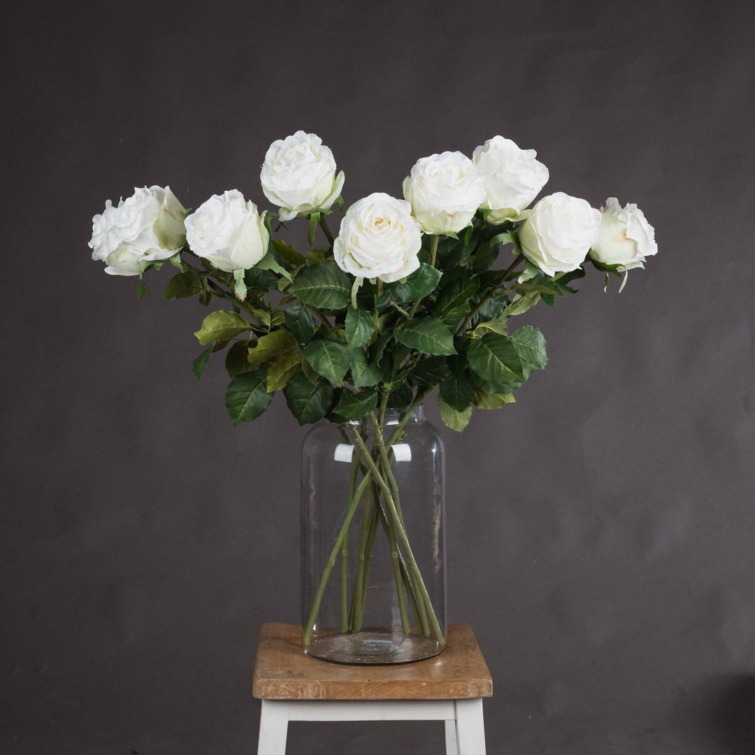 Traditional White Rose - TidySpaces