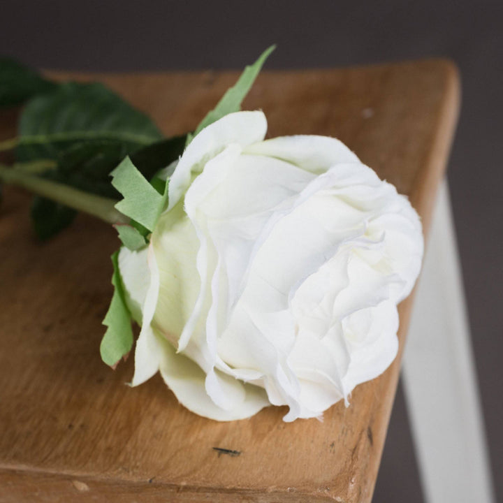 Traditional White Rose - TidySpaces